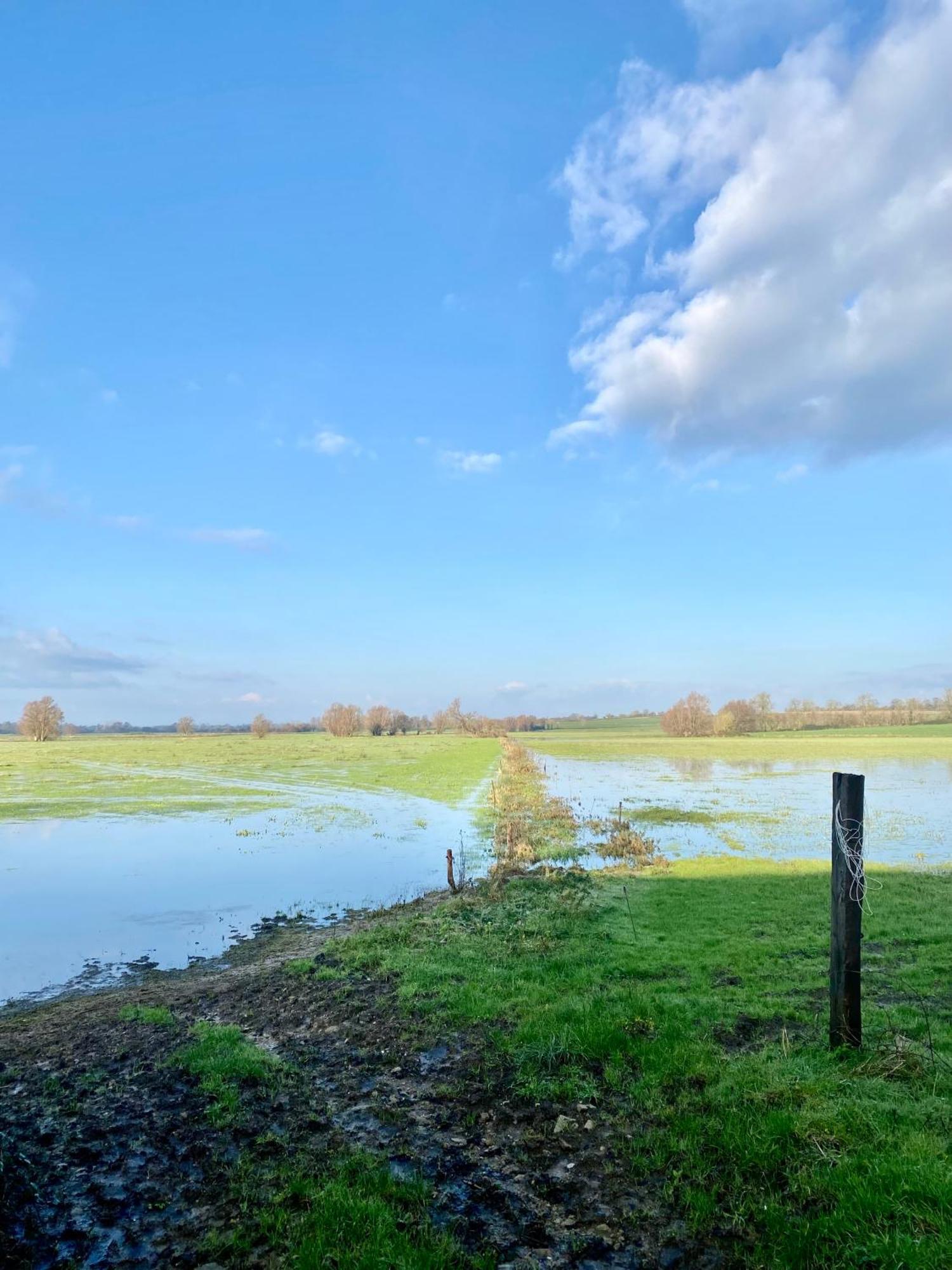 Chambre De Jeanne - Le Refuge Des Parachutistes - En Bordure Du Marais Neuville-au-Plain Kültér fotó